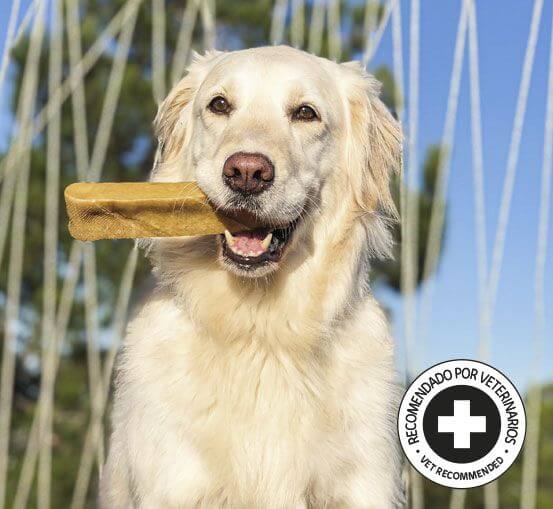 Churpi: Snacks naturales masticables para perros